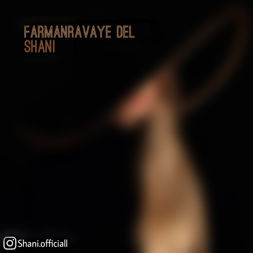 دانلود آهنگ شانی فرمانروای دل 1 Shan FarmanravayeDel