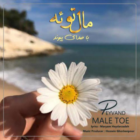 دانلود آهنگ پیوند مال توئه 8 peyvand male toe 2022 08 27 19 30