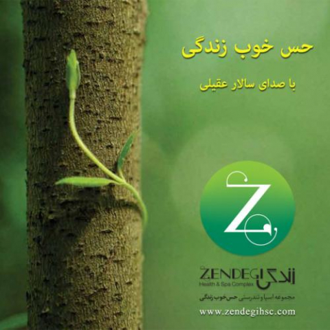دانلود آهنگ سالار عقیلی حس خوب زندگی 1 salar aghili hesse khoobe zendegi 2022 08 07 18 22