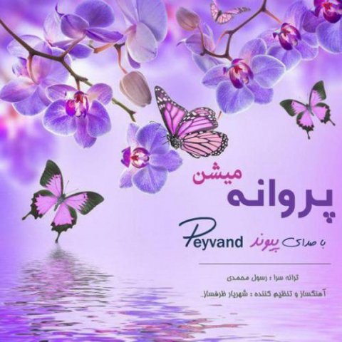 دانلود آهنگ پیوند پروانه میشن 1 peyvand parvaneh mishan 2022 10 17 20 26