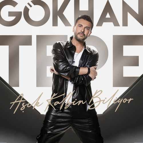دانلود آهنگ Gökhan Tepe Aşık Kalbin Biliyor 1 gokhannnn