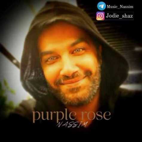 دانلود آهنگ نسیم رز بنفش 1 nassim purple 2022 11 19 12 10