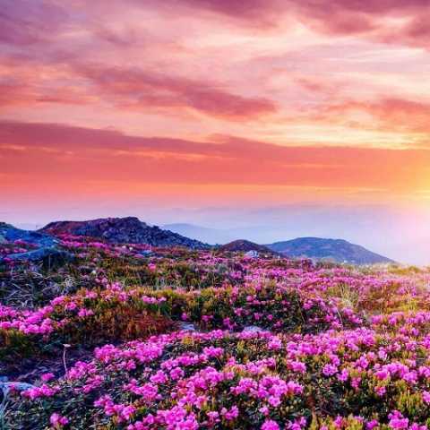 دانلود آهنگ آن ماری Beautiful 1 anne marie beautiful 2022 12 16 12 25
