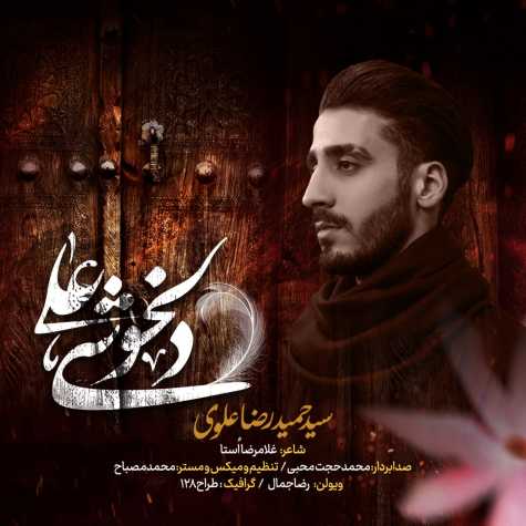 دانلود آهنگ سید حمیدرضا علوی دلخوشی علی 1 seyed hamidreza alavi delkhoshi ali 2022 12 18 12 45