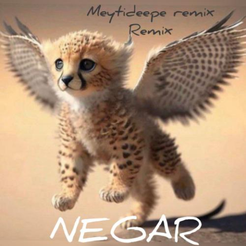دانلود آهنگ میتی دیپ نگار ( ریمیکس ) 1 meyti deepe negar remix 2023 03 02 17 30