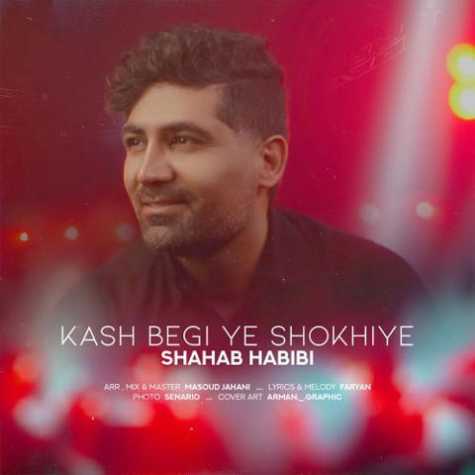 دانلود آهنگ شهاب حبیبی کاش بگی یه شوخیه 1 shahab habibi kash begi ye shokhiye 2023 03 17 18 15
