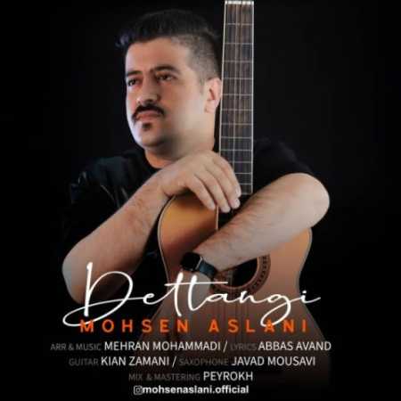 دانلود آهنگ محسن اصلانی دلتنگی 1 mohsen aslani deltangi 2023 04 19 14 45