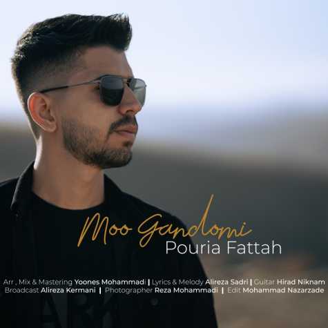 دانلود آهنگ پوریا فتاح مو گندمی 1 pouria fattah moo gandomi 2023 04 17 03 50
