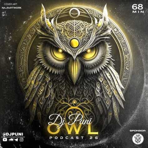 دانلود آهنگ دی جی پانی پادکست جغد (قسمت ۲۶) 1 dj puni podcast 26 owl 2023 05 14 12 55