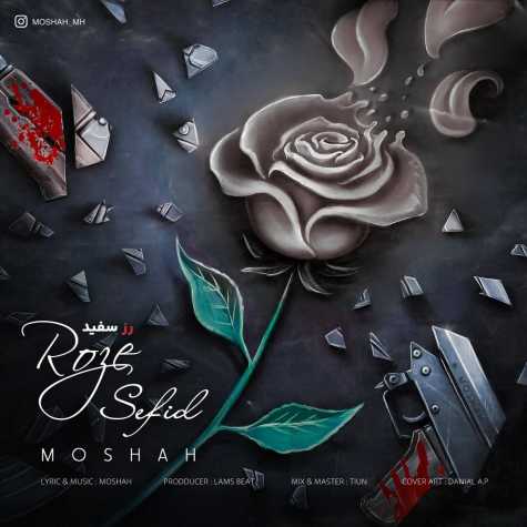 دانلود آهنگ مشاح رز سفید 1 moshah roze sefid 2023 06 23 13 58