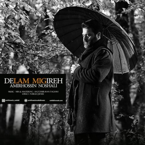 دانلود آهنگ امیر حسین نوشالی دلم میگیره 1 amirhossein noshali delam migireh 2023 07 17 20 55