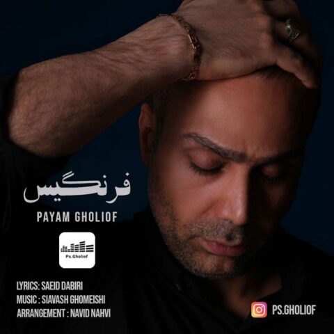 دانلود آهنگ پیام قلی اف فرنگیس 1 payam gholiof farangis 2023 07 01 20 15