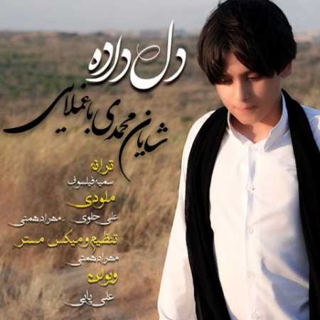 دانلود آهنگ شایان محمدی باغملایی دلداده 1 shayan mohamadi baghmollaei deldadeh 2023 07 28 15 35