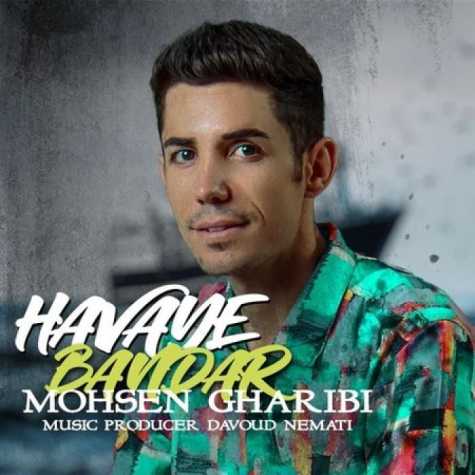 دانلود آهنگ محسن غریبی هوای بندر 1 mohsen gharibi havaye bandar 2023 08 22 08 52