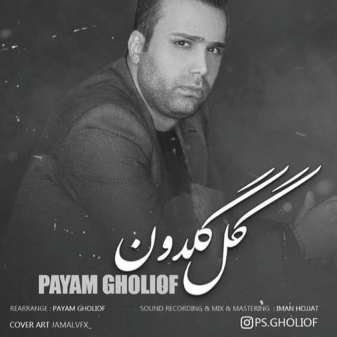 دانلود آهنگ پیام قلی اف گل گلدون 1 payam gholiof gole goldon 2023 08 28 21 45