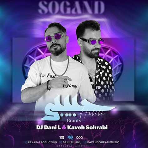 دانلود آهنگ دی جی دنی ال و کاوه سهرابی حبیبی (ریمیکس) 1 dj dani l kaveh sohrabi habibi 2023 09 19 18 45