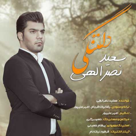 دانلود آهنگ سعید نصرالهی دلتنگی 1 saeid nasrollahi deltangi 2023 09 10 19 35