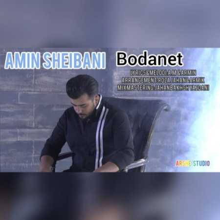 دانلود آهنگ امین شیبانی بودنت 1 amin sheibani bodanet 2023 10 09 20 30