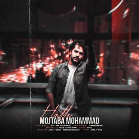 دانلود آهنگ مجتبی محمد حله 1 mojtaba mohammad halle 2023 11 07 23 05