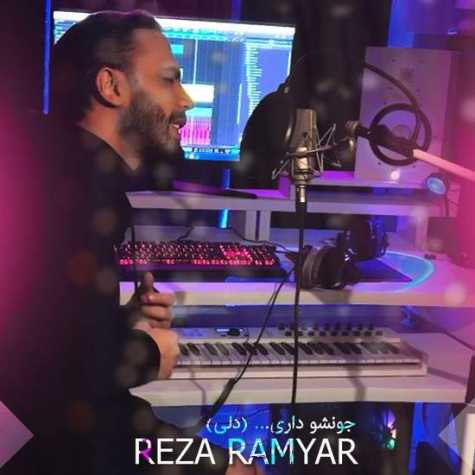 دانلود آهنگ رضا رامیار جونشو داری 1 reza ramyar joonesho dari 2023 11 25 13 05