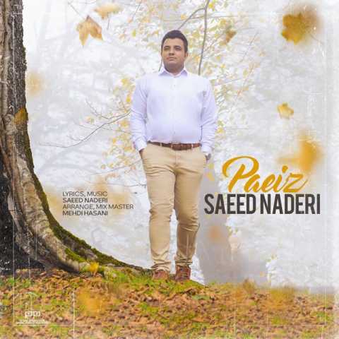 دانلود آهنگ سعید نادری پاییز 1 saeed naderi paeiz 2023 11 02 12 25
