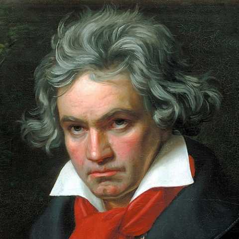 دانلود آهنگ بتهوون سمفونی شماره نه 1 beethoven symphony no 9 2023 12 15 21 35