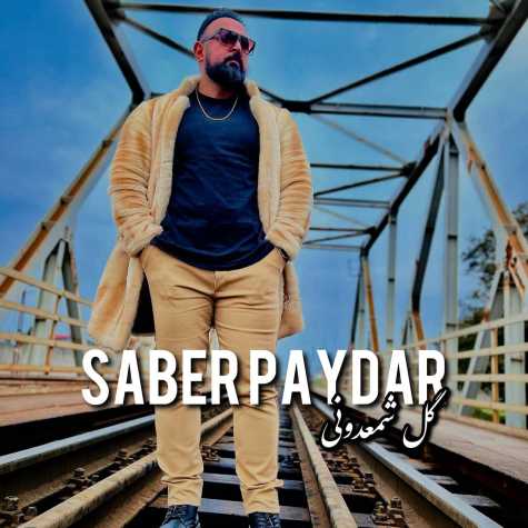 دانلود آهنگ صابر پایدار گل شمعدونی 1 saber paydar gole shamdooni 2023 12 16 13 40