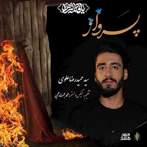 دانلود آهنگ سید حمیدرضا علوی نماهنگ پرواز 1 seyed hamidreza alavi parvaz 2023 12 15 13 30