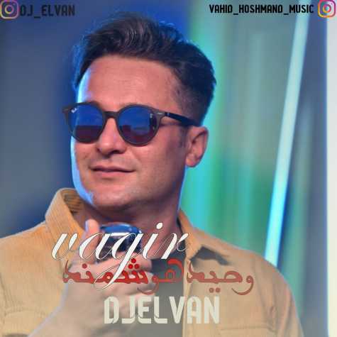 دانلود آهنگ وحید هوشمند واگیر (دیجی الوین) 1 vahid hooshmand vagir dj elvin remix 2023 12 18 15 35
