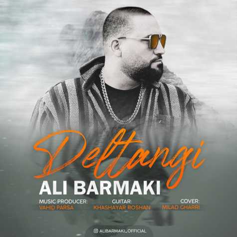 دانلود آهنگ علی برمکی دلتنگی 1 ali barmaki deltangi 2024 02 29 16 17