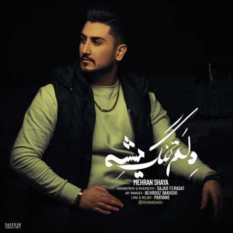 دانلود آهنگ مهران شایا دلم تنگ میشه 1 mehran shaya delam tang mishe 2024 02 01 18 55