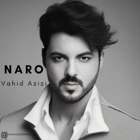 دانلود آهنگ وحید عزیزی نرو 1 vahid azizi naro 2024 05 30 09 20