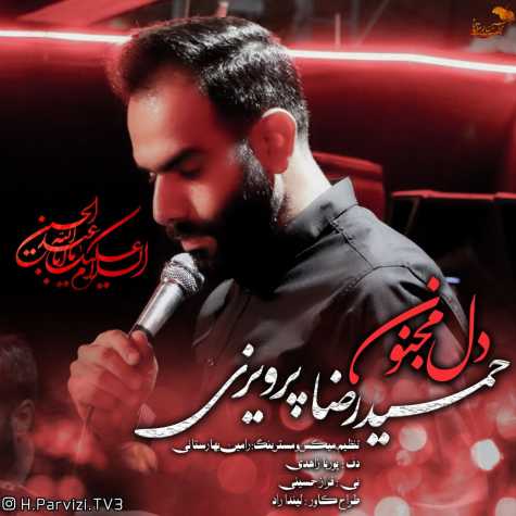 دانلود آهنگ حمیدرضا پرویزی دل مجنون 1 hamidreza parvizi dele majnoon 2024 07 13 16 05