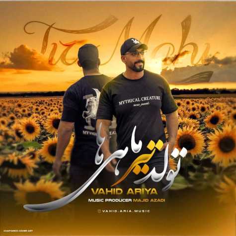 دانلود آهنگ وحید آریا تیر ماهی 1 vahid ariya tir mahi 2024 07 05 18 00