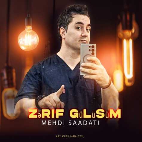 mehdi saadati zerif gulusum 2024 08 28 17 19