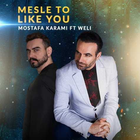 دانلود آهنگ مصطفی کرمی و ویلی مثل تو 1 mostafa karami ft weli mesle to 2024 08 15 12 45