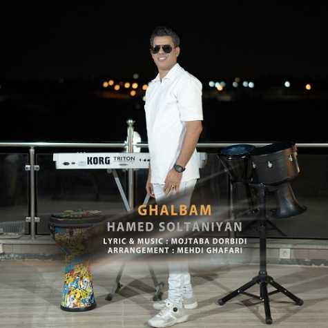 دانلود آهنگ حامد سلطانیان قلبم 1 hamed soltaniyan ghalbam 2024 10 31 08 00