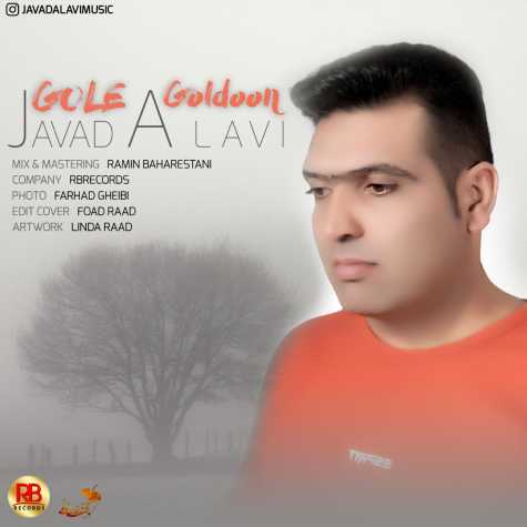 دانلود آهنگ جواد علوی گل گلدون 1 javad alavi gole goldoon 2024 10 24 19 20