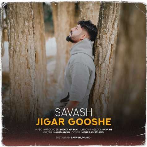 دانلود آهنگ ساواش جیگر گوشه 1 savash jigar gooshe 2024 11 26 13 30