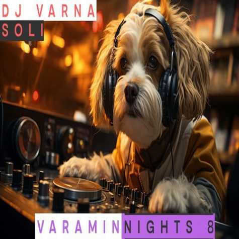 دانلود آهنگ دیجی وارنا پادکست ورامین نایت 8 1 dj varna varamin nights 08 2024 12 04 16 10
