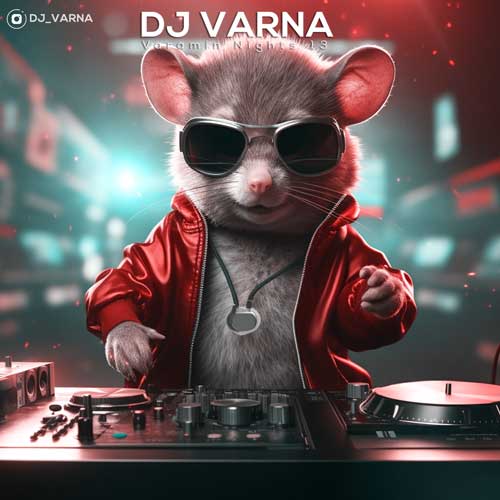 دانلود آهنگ دیجی وارنا پادکست ورامین نایت 14 1 dj varna varamin nights 14 2024 12 05 18 45