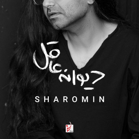 دانلود آهنگ شارومین دیوانه عاقل 1 sharomin divaneye aghel 2024 12 13 15 00
