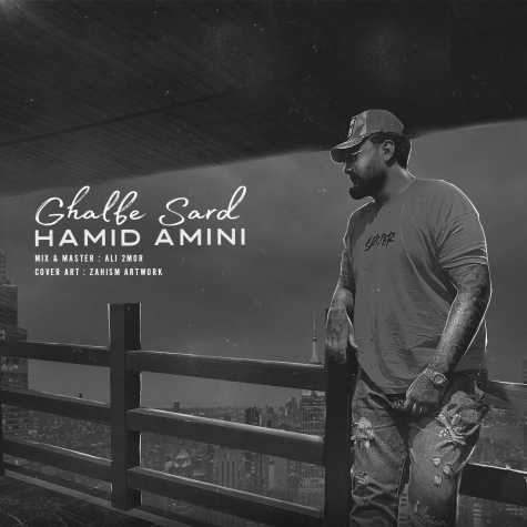 دانلود آهنگ حمید امینی قلب سرد 1 hamid amini ghalbe sard 2025 01 07 13 02
