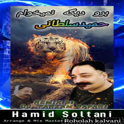 دانلود آهنگ حمید سلطانی برو دیگه نمیخوام (دیجی فرزام صفری ریمیکس) 1 hamid soltani boro dige nemikham dj farzam safari remix 2025 01 15 10 38