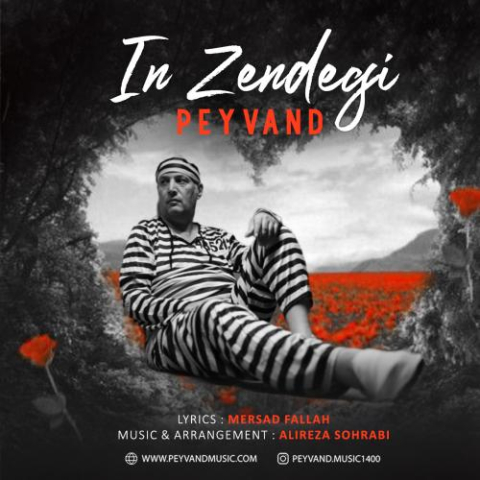 دانلود آهنگ پیوند این زندگی 1 peyvand in zendegi 2025 01 29 08 24