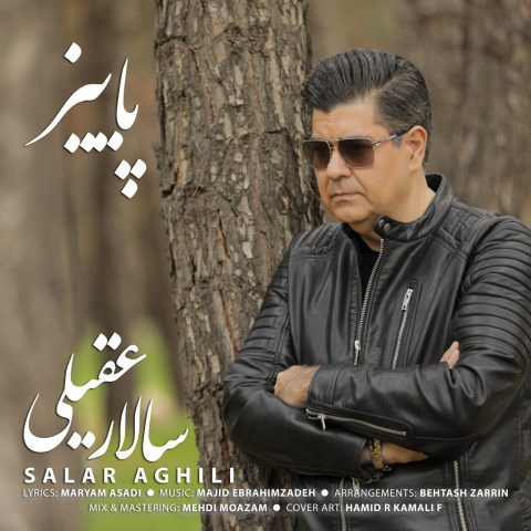 دانلود آهنگ سالار عقیلی پاییز 7 salar aghili paeiz 2025 01 02 17 16