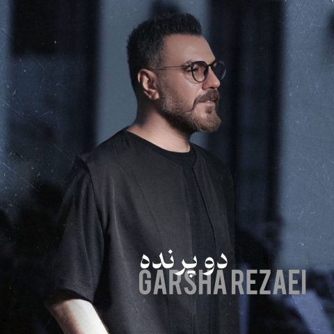 دانلود آهنگ گرشا رضایی دو پرنده 9 garsha rezaei do parandeh 2025 04 15 14 53