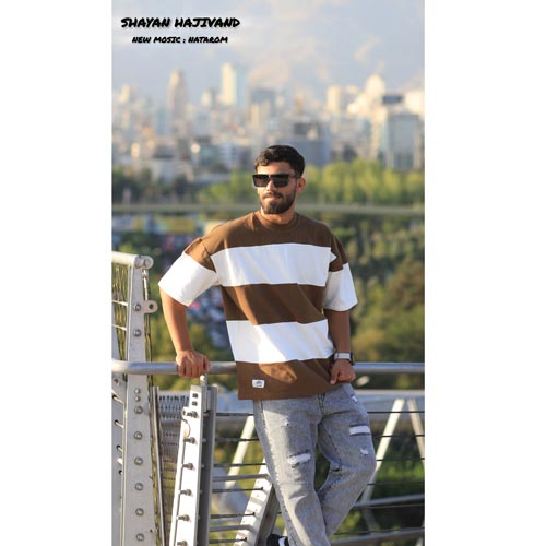 دانلود آهنگ شایان حاجیوند نتروم 1 shayan hajivand natarom 2025 04 14 17 23