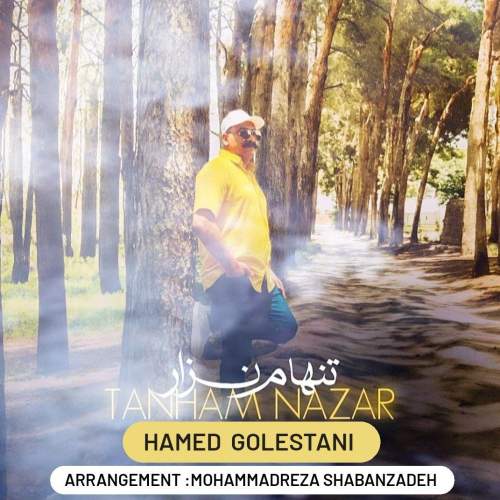 دانلود آهنگ حامد گلستانی تنهام نزار 1 hamed golestani tanham nazar 2025 05 28 18 35