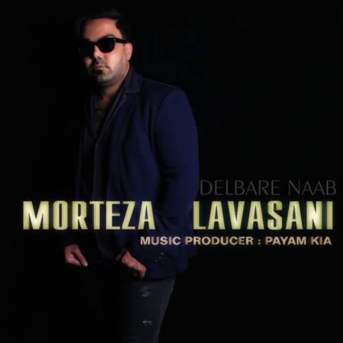 دانلود آهنگ مرتضی لواسانی دلبر ناب 1 morteza lavasani delbare nab 2025 05 05 13 47
